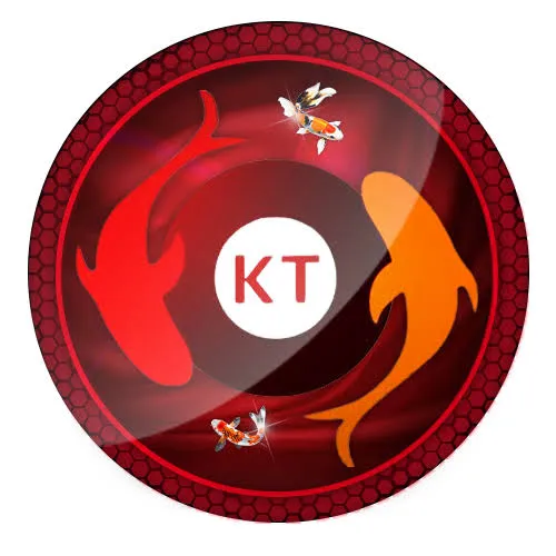 koitoto APK Live Casino